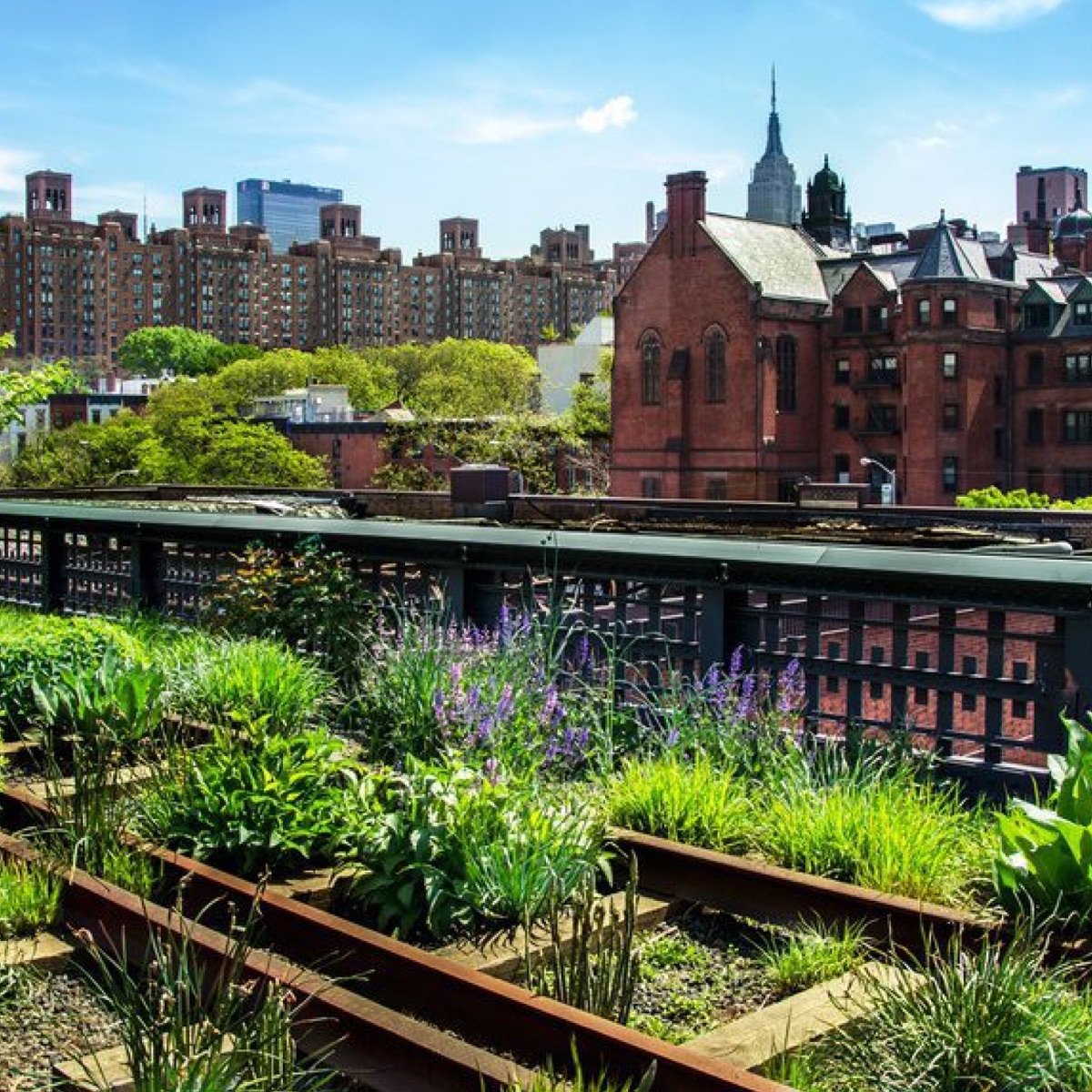 New York office